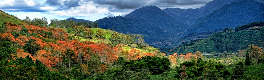 Rondreizen met Kinderen Costa Rica