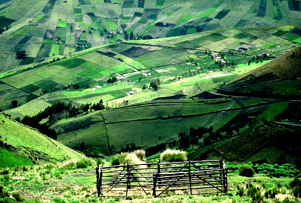 Rondreizen Ecuador