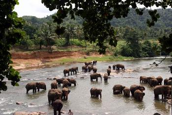 Sri Lanka