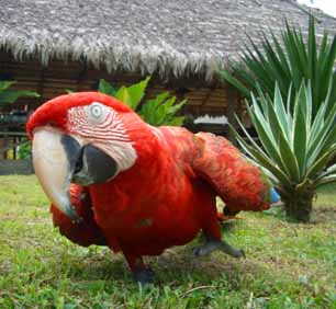 Rondreizen met Kinderen Suriname