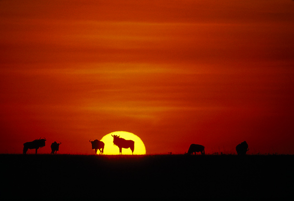 Rondreizen Tanzania